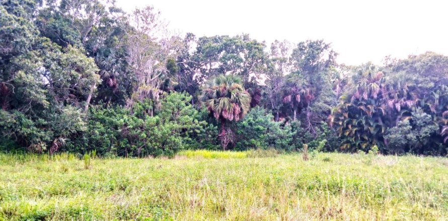 Commercial property in St. Lucie, Florida № 2147084