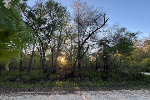 Land in Webster, Florida № 2233171 - photo 2