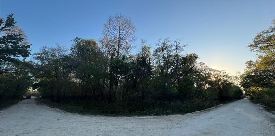 Land in Webster, Florida № 2233171