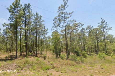 Terreno en Dunnellon, Florida № 2160838