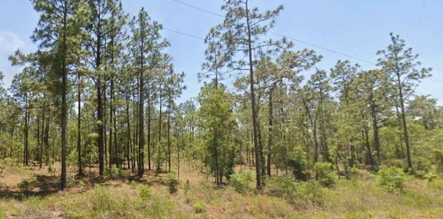 Land in Dunnellon, Florida № 2160838