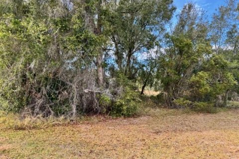 Terreno en venta en DeLand, Florida № 2151092 - foto 3