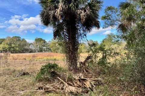Terreno en venta en DeLand, Florida № 2151092 - foto 9
