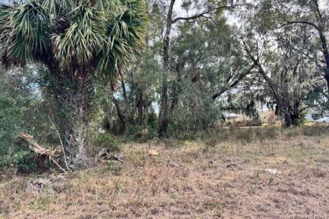 Terreno en venta en DeLand, Florida № 2151092 - foto 11