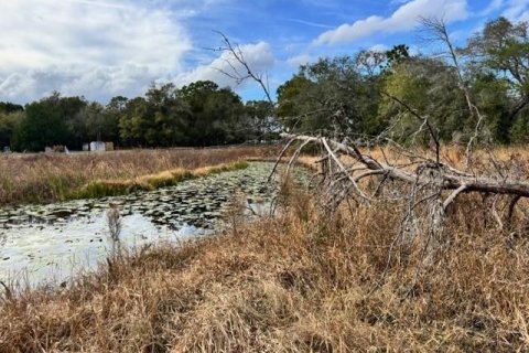Terreno en venta en DeLand, Florida № 2151092 - foto 17