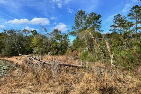 Terreno en venta en DeLand, Florida № 2151092 - foto 19