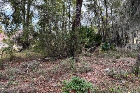 Terreno en venta en DeLand, Florida № 2151092 - foto 7