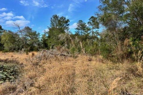 Terreno en venta en DeLand, Florida № 2151092 - foto 15