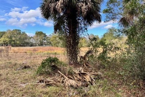 Terreno en venta en DeLand, Florida № 2151092 - foto 8