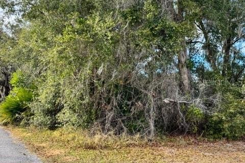 Terreno en venta en DeLand, Florida № 2151092 - foto 5