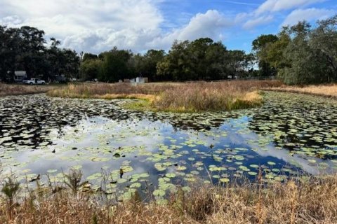 Terreno en venta en DeLand, Florida № 2151092 - foto 14
