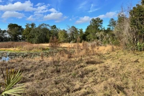 Terreno en venta en DeLand, Florida № 2151092 - foto 13