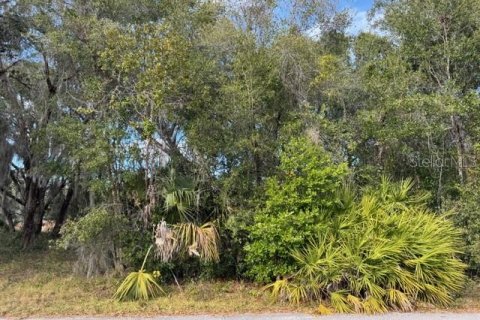 Terreno en venta en DeLand, Florida № 2151092 - foto 2