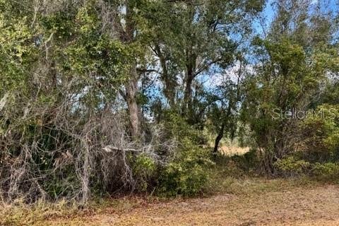 Terreno en venta en DeLand, Florida № 2151092 - foto 4