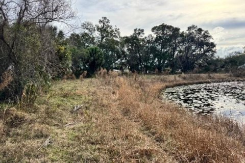 Terreno en venta en DeLand, Florida № 2151092 - foto 18