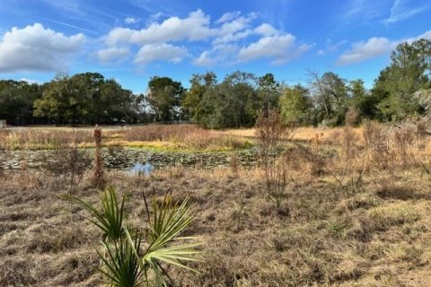 Terreno en venta en DeLand, Florida № 2151092 - foto 12