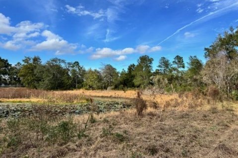 Terreno en venta en DeLand, Florida № 2151092 - foto 10