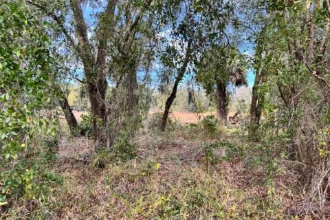 Terreno en venta en DeLand, Florida № 2151092 - foto 6