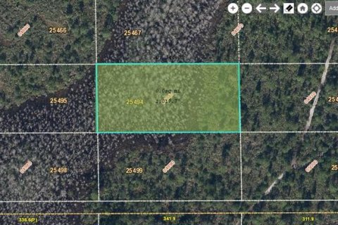 Land in Orlando, Florida № 2163561