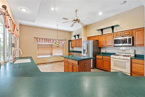 House in New Port Richey, Florida 4 bedrooms, 305.46 sq.m. № 1874027 - photo 11