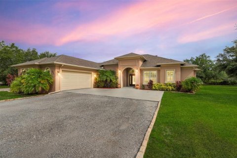 Villa ou maison à vendre à Lake Wales, Floride: 3 chambres, 278.61 m2 № 1687081 - photo 1