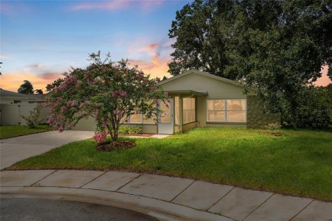 Villa ou maison à vendre à Oldsmar, Floride: 4 chambres, 152.17 m2 № 1826730 - photo 1