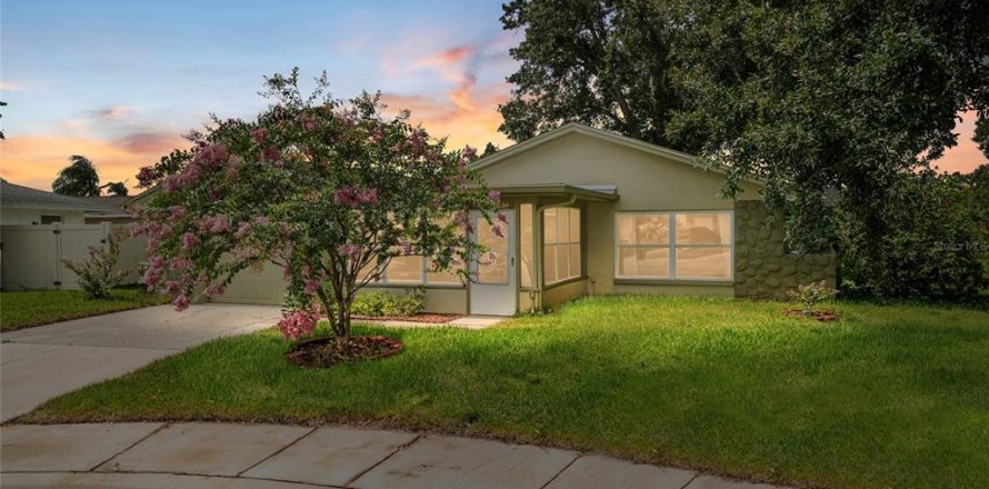 Villa ou maison à Oldsmar, Floride 4 chambres, 152.17 m2 № 1826730