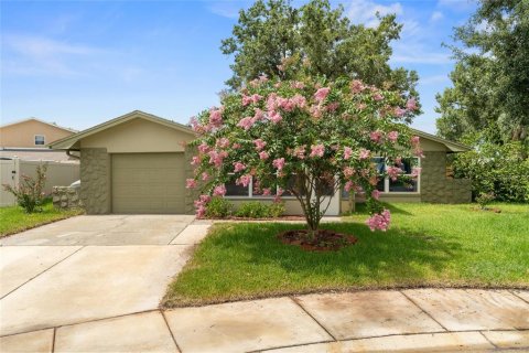 Villa ou maison à vendre à Oldsmar, Floride: 4 chambres, 152.17 m2 № 1826730 - photo 2
