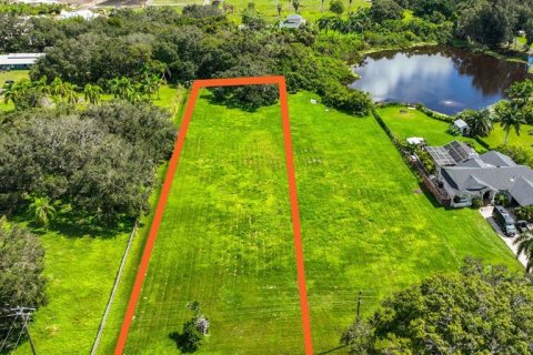 Terreno en venta en Terra Ceia, Florida № 1572978 - foto 1
