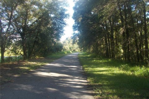 Land in Webster, Florida № 2159415 - photo 8