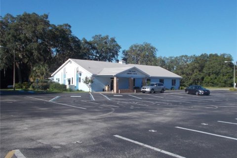 Land in Webster, Florida № 2159415 - photo 12