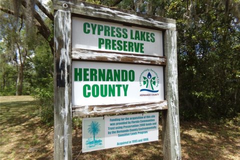 Land in Webster, Florida № 2159415 - photo 13