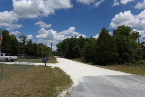 Land in Webster, Florida № 2159415 - photo 4