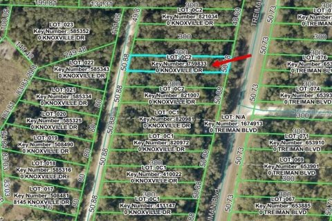 Land in Webster, Florida № 2159415