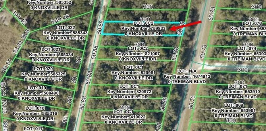 Land in Webster, Florida № 2159415
