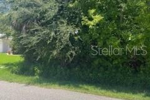 Terreno en venta en Palm Coast, Florida № 1875929 - foto 13