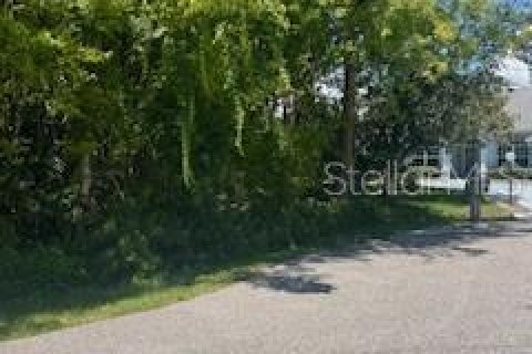 Terreno en venta en Palm Coast, Florida № 1875929 - foto 2