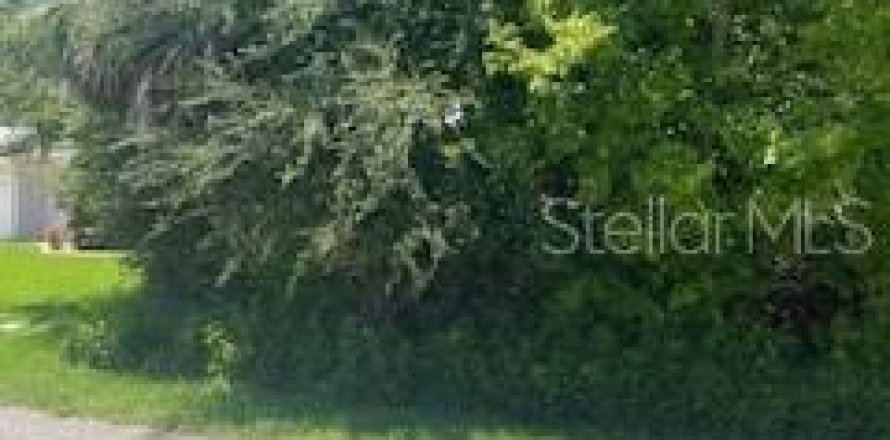 Terreno en Palm Coast, Florida № 1875929