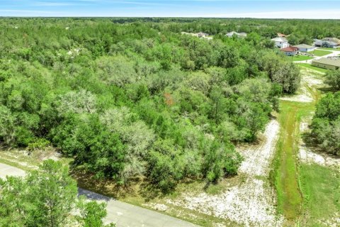 Land in Poinciana, Florida № 2160193 - photo 3