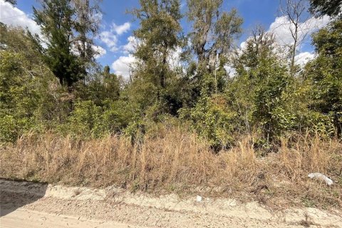 Terreno en venta en Fort White, Florida № 2102693 - foto 3
