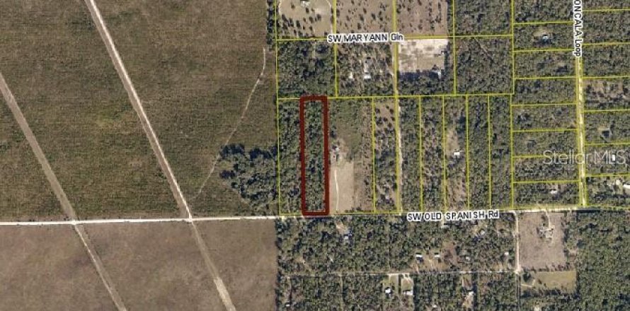 Terreno en Fort White, Florida № 2102693