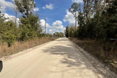 Terreno en venta en Fort White, Florida № 2102693 - foto 4