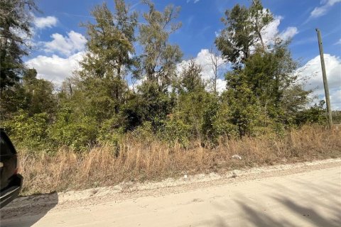 Terreno en venta en Fort White, Florida № 2102693 - foto 2