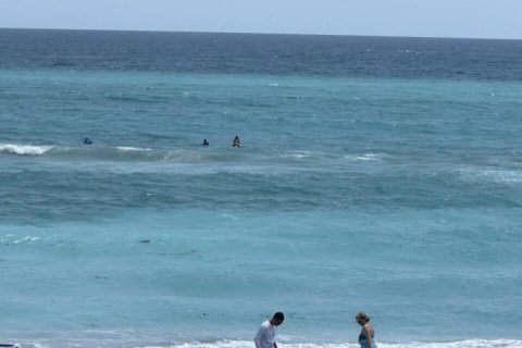 Copropriété à louer à Jupiter, Floride: 1 chambre, 66.8 m2 № 1172395 - photo 1