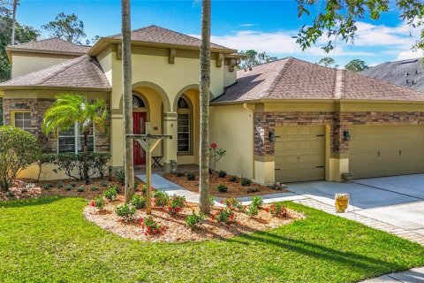 House in Valrico, Florida 5 bedrooms, 323.49 sq.m. № 1851429 - photo 1