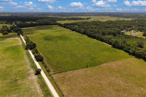 Terrain à vendre à Morriston, Floride № 2215247 - photo 2