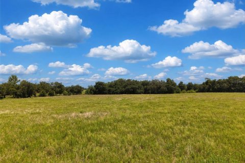 Land in Morriston, Florida № 2215247