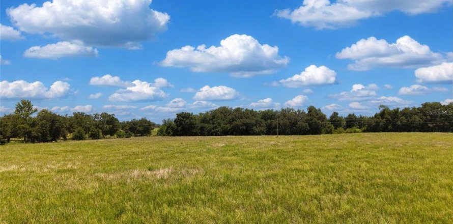 Terrain à Morriston, Floride № 2215247