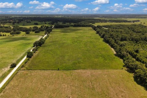 Terrain à vendre à Morriston, Floride № 2215247 - photo 3