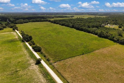 Terrain à vendre à Morriston, Floride № 2215247 - photo 6